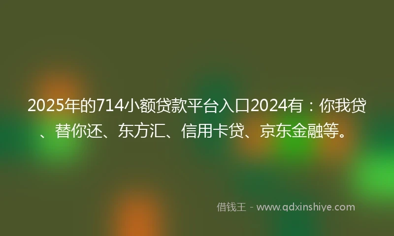 2025年的714小额贷款平台入口2024有：你我贷、替你还、东方汇、信用卡贷、京东金融等。