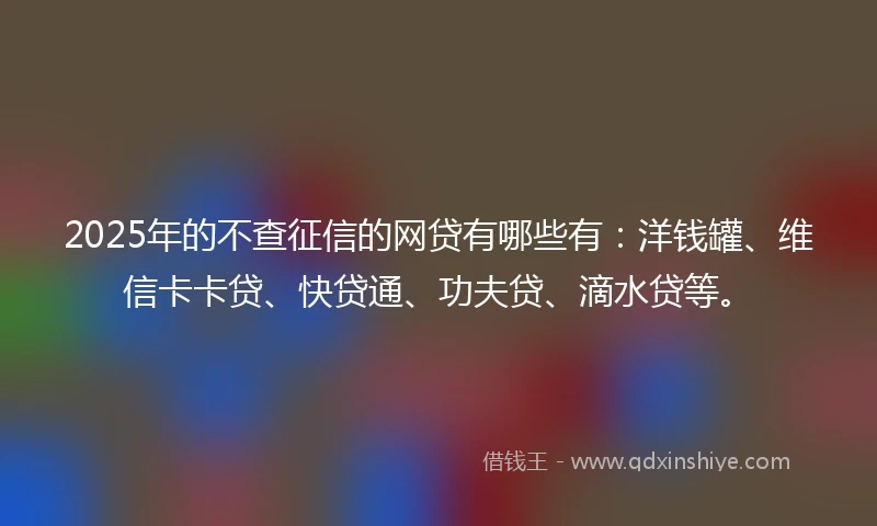 2025年的不查征信的网贷有哪些有：洋钱罐、维信卡卡贷、快贷通、功夫贷、滴水贷等。