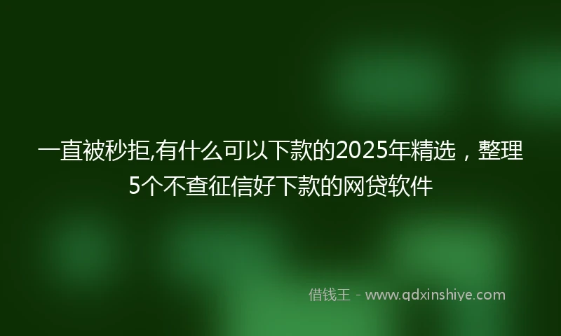 一直被秒拒,有什么可以下款的2025年精选，整理5个不查征信好下款的网贷软件