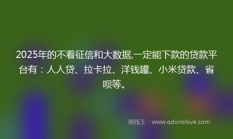 2025年的不看征信和大数据,一定能下款的贷款平台有：人人贷、拉卡拉、洋钱罐、小米贷款、省呗等。