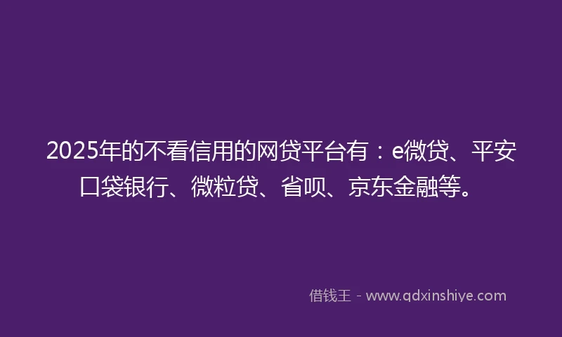 2025年的不看信用的网贷平台有：e微贷、平安口袋银行、微粒贷、省呗、京东金融等。