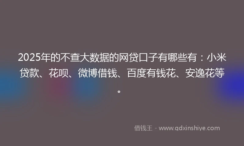 2025年的不查大数据的网贷口子有哪些有：小米贷款、花呗、微博借钱、百度有钱花、安逸花等。