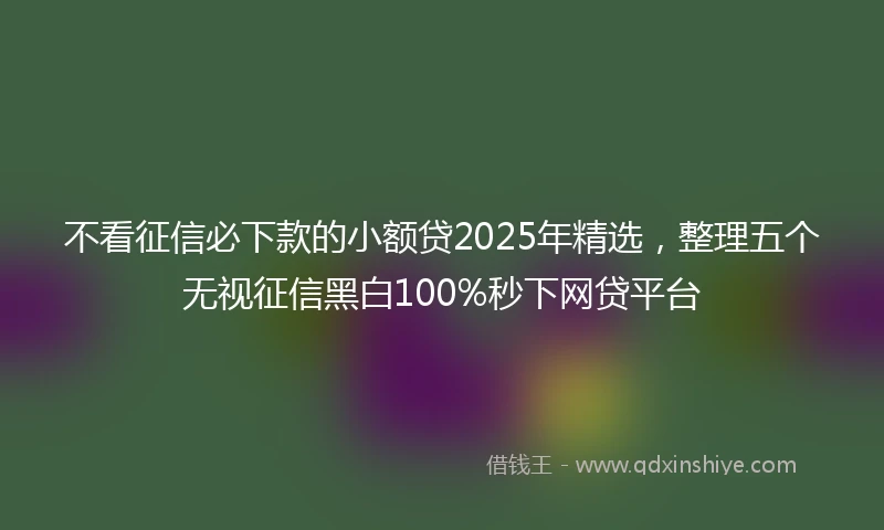 不看征信必下款的小额贷2025年精选，整理五个无视征信黑白100%秒下网贷平台