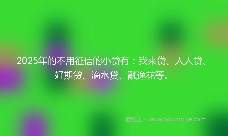 2025年的不用征信的小贷有：我来贷、人人贷、好期贷、滴水贷、融逸花等。