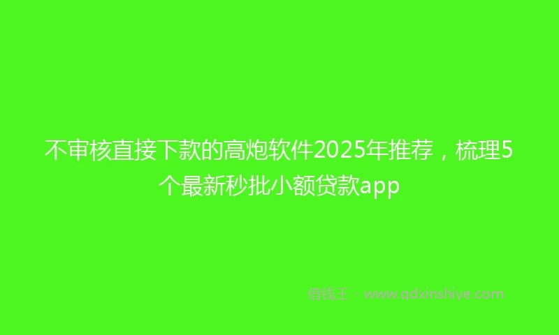 不审核直接下款的高炮软件2025年推荐，梳理5个最新秒批小额贷款app