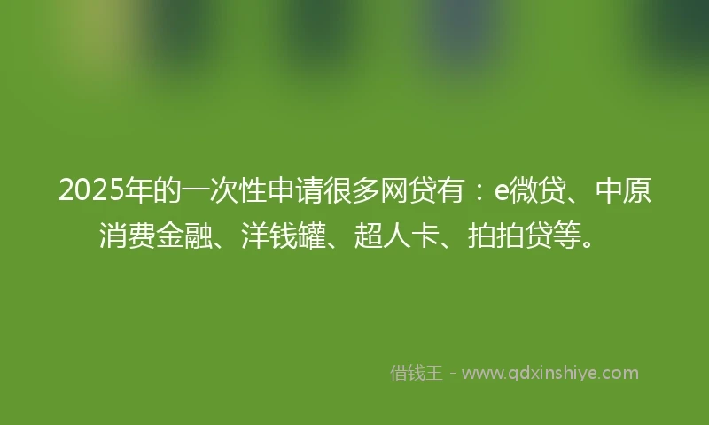 2025年的一次性申请很多网贷有：e微贷、中原消费金融、洋钱罐、超人卡、拍拍贷等。