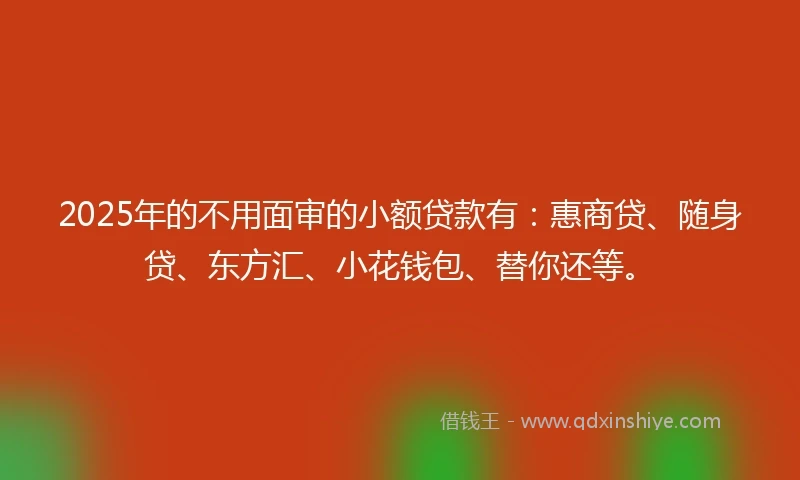 2025年的不用面审的小额贷款有：惠商贷、随身贷、东方汇、小花钱包、替你还等。