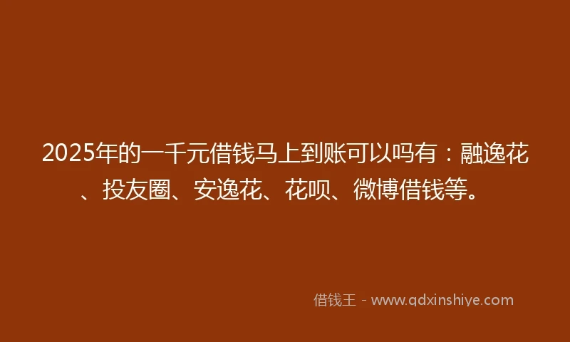 2025年的一千元借钱马上到账可以吗有：融逸花、投友圈、安逸花、花呗、微博借钱等。