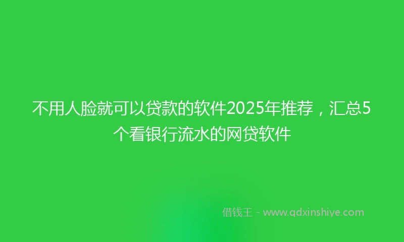 不用人脸就可以贷款的软件2025年推荐，汇总5个看银行流水的网贷软件