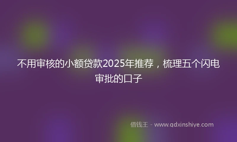 不用审核的小额贷款2025年推荐，梳理五个闪电审批的口子