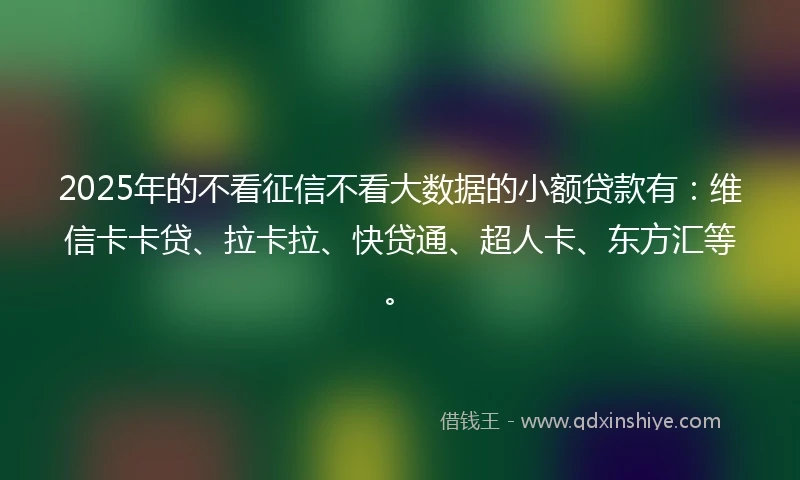 2025年的不看征信不看大数据的小额贷款有：维信卡卡贷、拉卡拉、快贷通、超人卡、东方汇等。