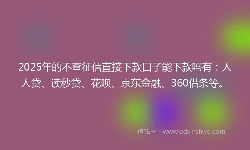 2025年的不查征信直接下款口子能下款吗有：人人贷、读秒贷、花呗、京东金融、360借条等。