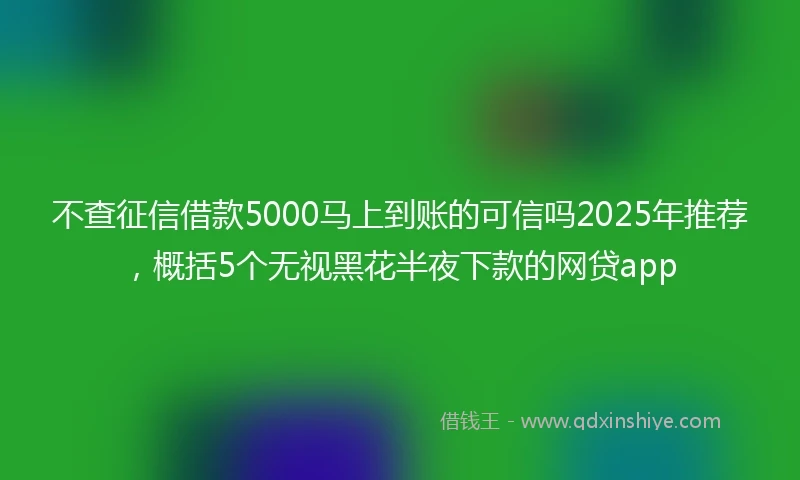 不查征信借款5000马上到账的可信吗2025年推荐，概括5个无视黑花半夜下款的网贷app