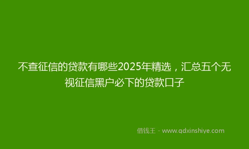 不查征信的贷款有哪些2025年精选，汇总五个无视征信黑户必下的贷款口子