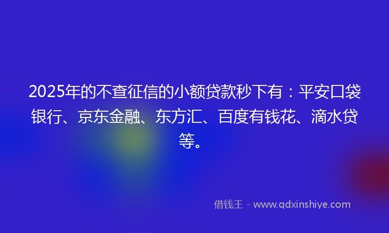 2025年的不查征信的小额贷款秒下有：平安口袋银行、京东金融、东方汇、百度有钱花、滴水贷等。