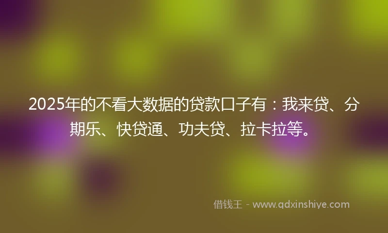 2025年的不看大数据的贷款口子有：我来贷、分期乐、快贷通、功夫贷、拉卡拉等。