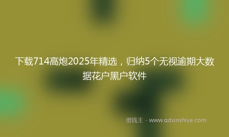 下载714高炮2025年精选，归纳5个无视逾期大数据花户黑户软件