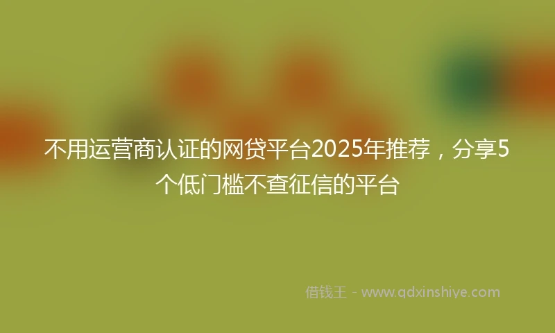 不用运营商认证的网贷平台2025年推荐，分享5个低门槛不查征信的平台