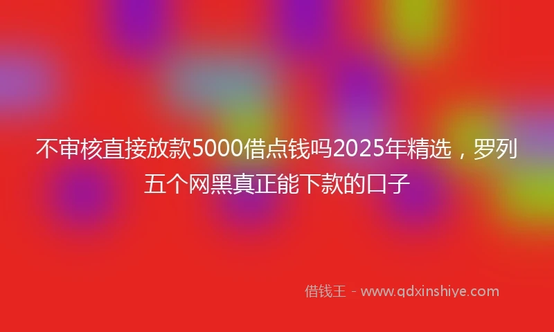 不审核直接放款5000借点钱吗2025年精选，罗列五个网黑真正能下款的口子