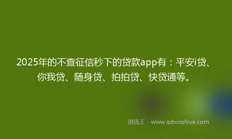 2025年的不查征信秒下的贷款app有：平安i贷、你我贷、随身贷、拍拍贷、快贷通等。