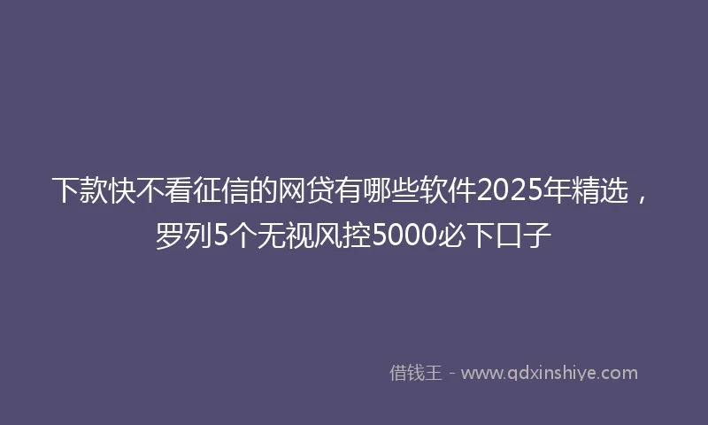 下款快不看征信的网贷有哪些软件2025年精选，罗列5个无视风控5000必下口子