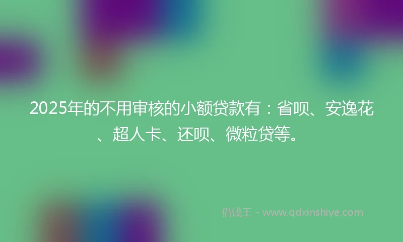 2025年的不用审核的小额贷款有：省呗、安逸花、超人卡、还呗、微粒贷等。