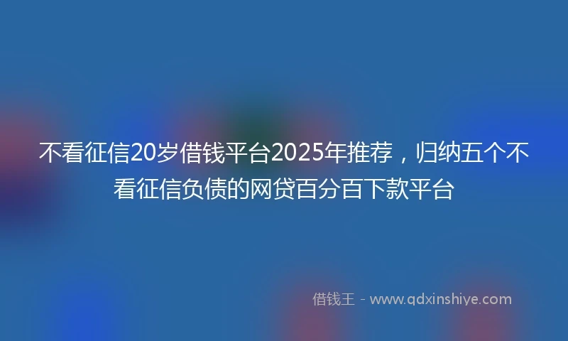 不看征信20岁借钱平台2025年推荐，归纳五个不看征信负债的网贷百分百下款平台