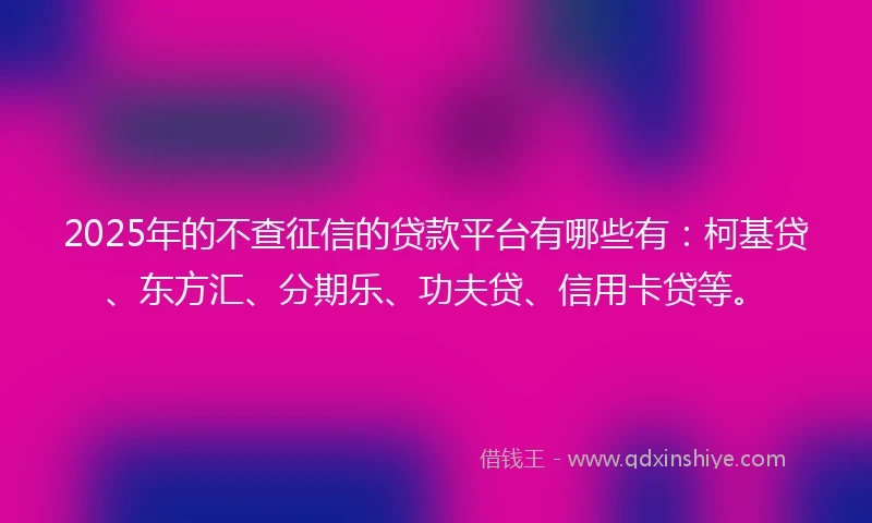 2025年的不查征信的贷款平台有哪些有：柯基贷、东方汇、分期乐、功夫贷、信用卡贷等。