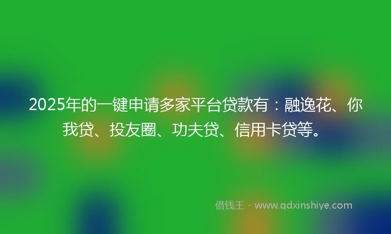 2025年的一键申请多家平台贷款有：融逸花、你我贷、投友圈、功夫贷、信用卡贷等。