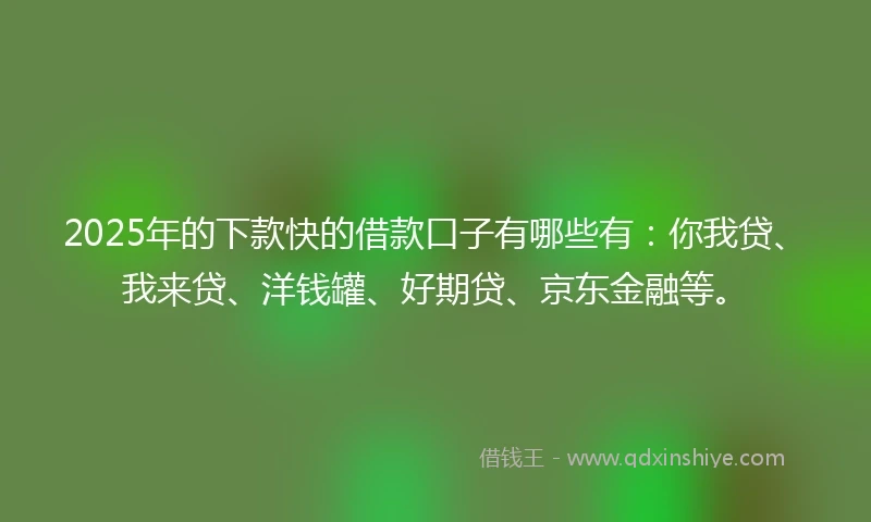 2025年的下款快的借款口子有哪些有：你我贷、我来贷、洋钱罐、好期贷、京东金融等。