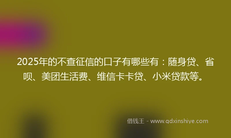 2025年的不查征信的口子有哪些有：随身贷、省呗、美团生活费、维信卡卡贷、小米贷款等。