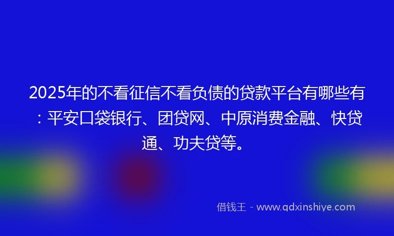 2025年的不看征信不看负债的贷款平台有哪些有：平安口袋银行、团贷网、中原消费金融、快贷通、功夫贷等。