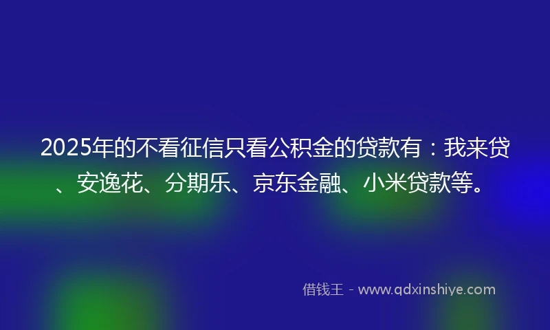 2025年的不看征信只看公积金的贷款有：我来贷、安逸花、分期乐、京东金融、小米贷款等。