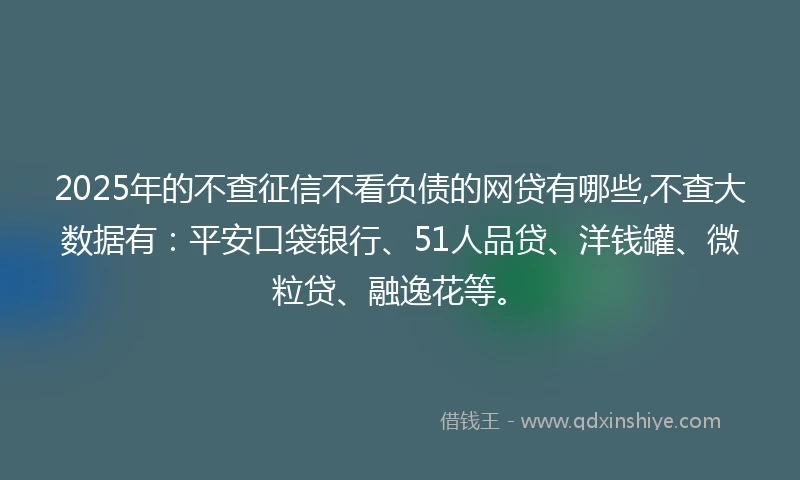 2025年的不查征信不看负债的网贷有哪些,不查大数据有：平安口袋银行、51人品贷、洋钱罐、微粒贷、融逸花等。