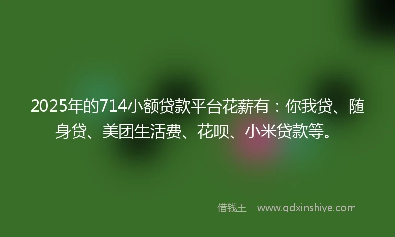 2025年的714小额贷款平台花薪有：你我贷、随身贷、美团生活费、花呗、小米贷款等。