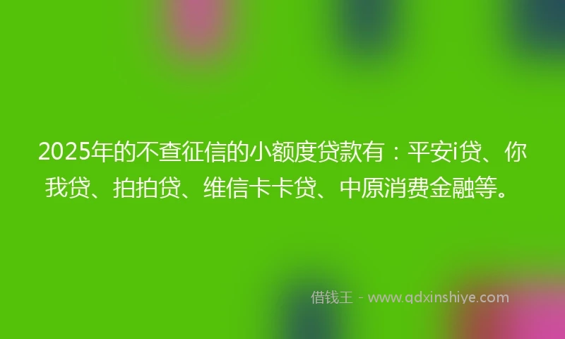 2025年的不查征信的小额度贷款有：平安i贷、你我贷、拍拍贷、维信卡卡贷、中原消费金融等。