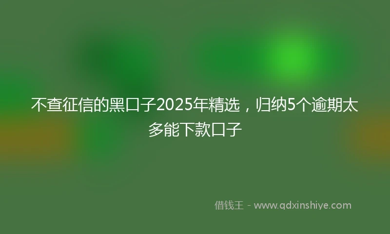 不查征信的黑口子2025年精选，归纳5个逾期太多能下款口子
