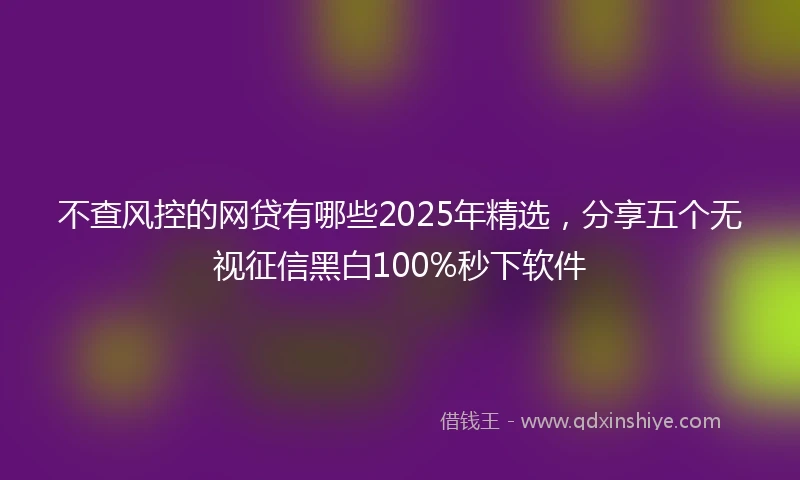 不查风控的网贷有哪些2025年精选，分享五个无视征信黑白100%秒下软件