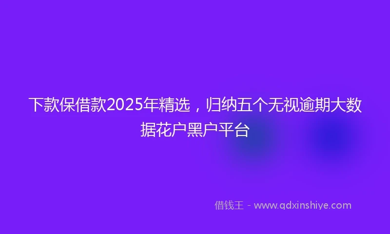 下款保借款2025年精选,归纳五个无视逾期大数据花户黑户平台