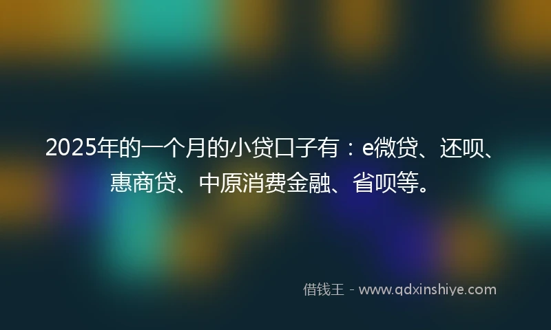 2025年的一个月的小贷口子有：e微贷、还呗、惠商贷、中原消费金融、省呗等。