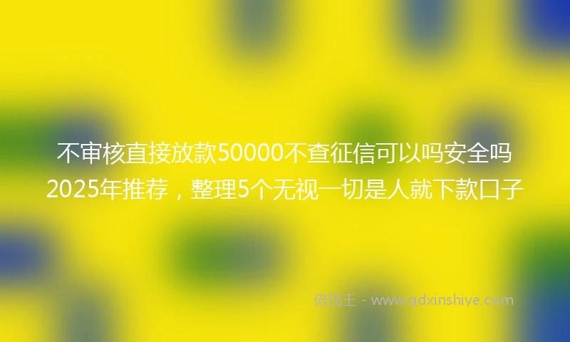 不审核直接放款50000不查征信可以吗安全吗2025年推荐,整理5个无视一切是人就下款口子