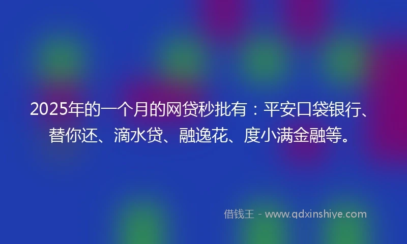 2025年的一个月的网贷秒批有：平安口袋银行、替你还、滴水贷、融逸花、度小满金融等。