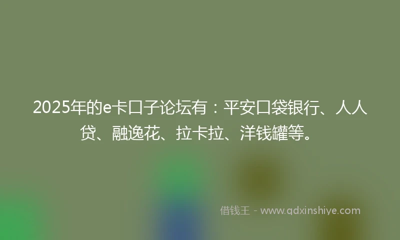 2025年的e卡口子论坛有：平安口袋银行、人人贷、融逸花、拉卡拉、洋钱罐等。