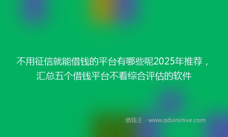 不用征信就能借钱的平台有哪些呢2025年推荐，汇总五个借钱平台不看综合评估的软件
