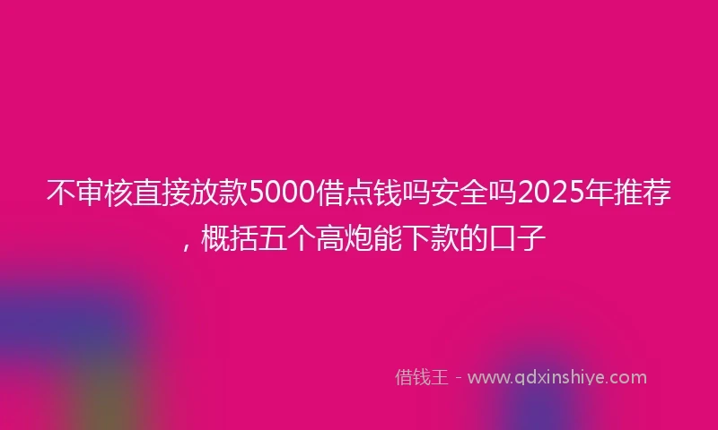不审核直接放款5000借点钱吗安全吗2025年推荐，概括五个高炮能下款的口子