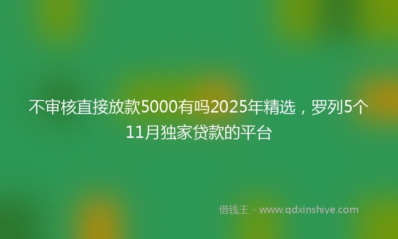 不审核直接放款5000有吗2025年精选，罗列5个11月独家贷款的平台
