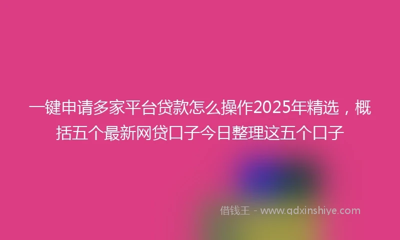 一键申请多家平台贷款怎么操作2025年精选，概括五个最新网贷口子今日整理这五个口子