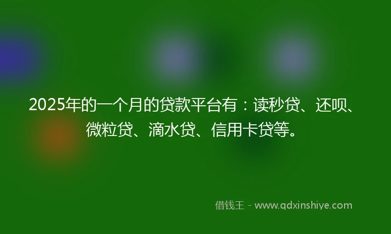 2025年的一个月的贷款平台有：读秒贷、还呗、微粒贷、滴水贷、信用卡贷等。
