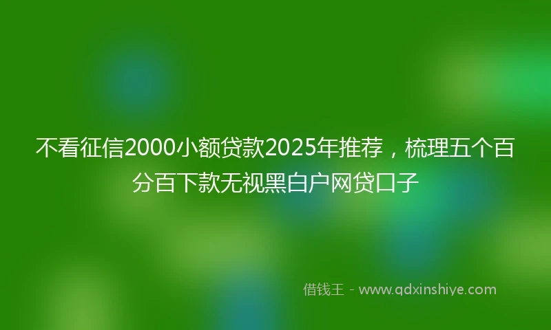 不看征信2000小额贷款2025年推荐，梳理五个百分百下款无视黑白户网贷口子