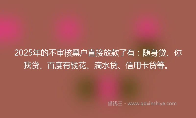 2025年的不审核黑户直接放款了有：随身贷、你我贷、百度有钱花、滴水贷、信用卡贷等。